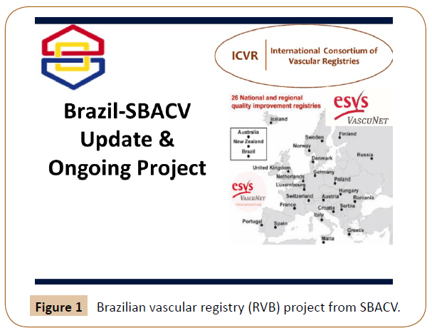 vascular-endovascular-therapy-project